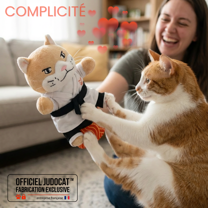 MANCHETTE DE JEU POUR CHAT