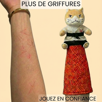 MANCHETTE DE JEU POUR CHAT