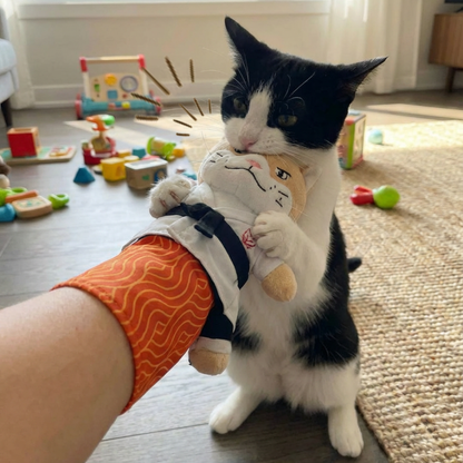 MANCHETTE DE JEU POUR CHAT